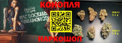 мдпв Новокубанск