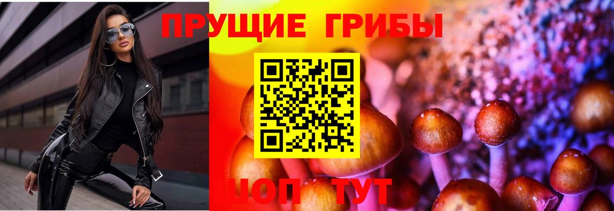Мончегорск  Галлюциногенные грибы Psilocybe  Галлюциногенные грибы Magic Shrooms  Вход с VPN 
